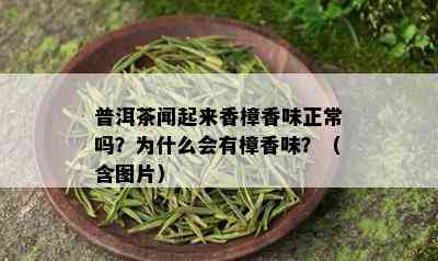 普洱茶闻起来香樟香味正常吗？为什么会有樟香味？（含图片）