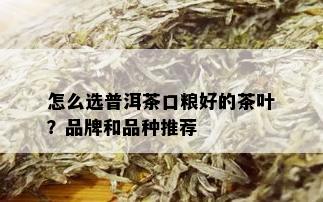 怎么选普洱茶口粮好的茶叶？品牌和品种推荐