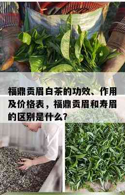 福鼎贡眉白茶的功效、作用及价格表，福鼎贡眉和寿眉的区别是什么？