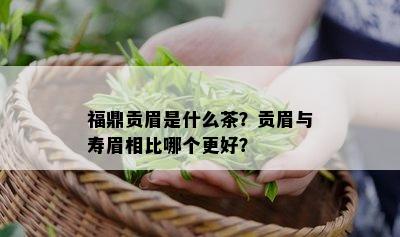 福鼎贡眉是什么茶？贡眉与寿眉相比哪个更好？