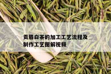 贡眉白茶的加工工艺流程及制作工艺图解视频