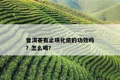 普洱茶有止咳化痰的功效吗？怎么喝？