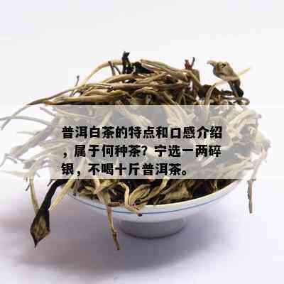 普洱白茶的特点和口感介绍，属于何种茶？宁选一两碎银，不喝十斤普洱茶。