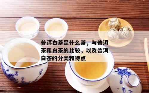 普洱白茶是什么茶，与普洱茶和白茶的比较，以及普洱白茶的分类和特点