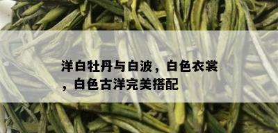 洋白牡丹与白波，白色衣裳，白色古洋完美搭配