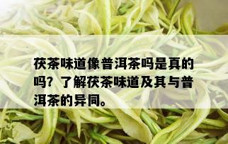 茯茶味道像普洱茶吗是真的吗？了解茯茶味道及其与普洱茶的异同。