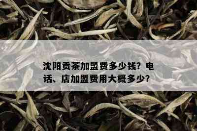 沈阳贡茶加盟费多少钱？电话、店加盟费用大概多少？