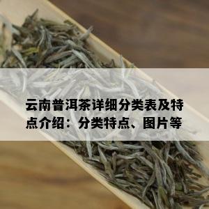 云南普洱茶详细分类表及特点介绍：分类特点、图片等