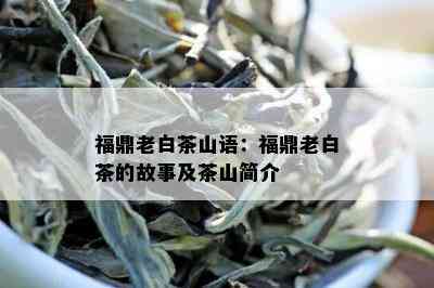 福鼎老白茶山语：福鼎老白茶的故事及茶山简介