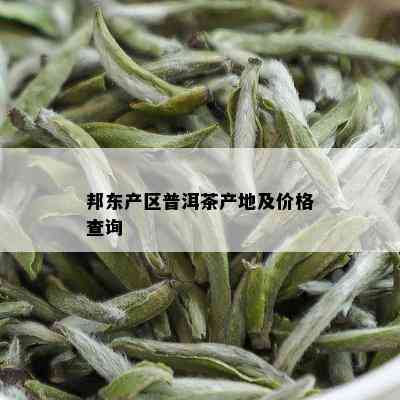 邦东产区普洱茶产地及价格查询