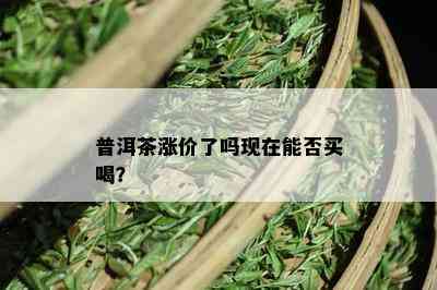 普洱茶涨价了吗现在能否买喝？