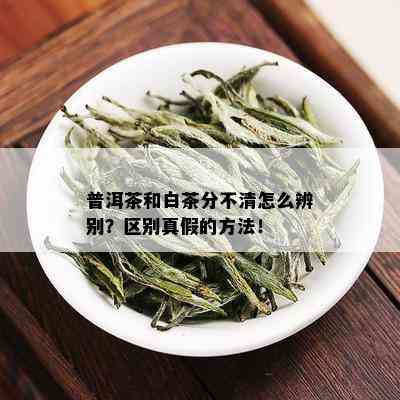 普洱茶和白茶分不清怎么辨别？区别真假的方法！