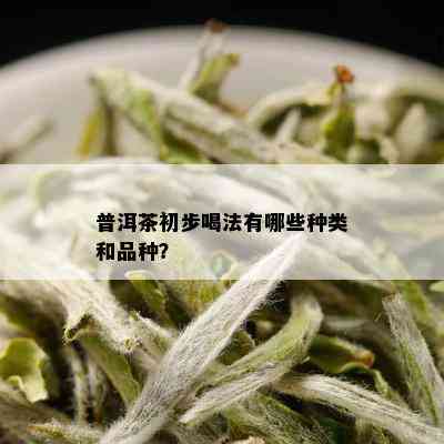 普洱茶初步喝法有哪些种类和品种？