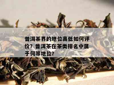 普洱茶界的地位高低如何评价？普洱茶在茶类排名中属于何等地位？