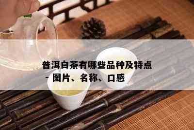 普洱白茶有哪些品种及特点 - 图片、名称、口感