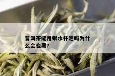 普洱茶能用银水杯泡吗为什么会变黑？