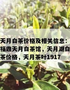 天月白茶价格及相关信息：福鼎天月白茶馆，天月湖白茶价格，天月茶叶1917