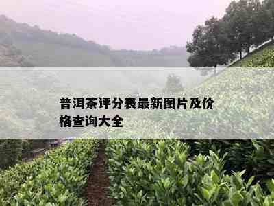 普洱茶评分表最新图片及价格查询大全