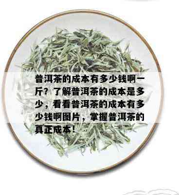 普洱茶的成本有多少钱啊一斤？了解普洱茶的成本是多少，看看普洱茶的成本有多少钱啊图片，掌握普洱茶的真正成本！