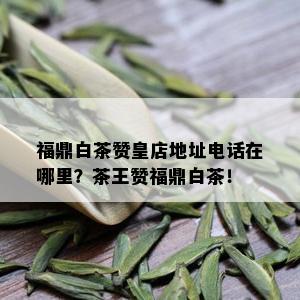 福鼎白茶赞皇店地址电话在哪里？茶王赞福鼎白茶！