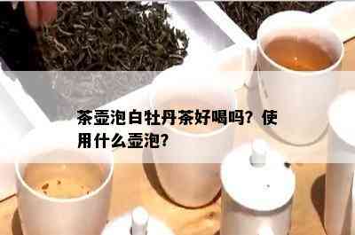 茶壶泡白牡丹茶好喝吗？使用什么壶泡？