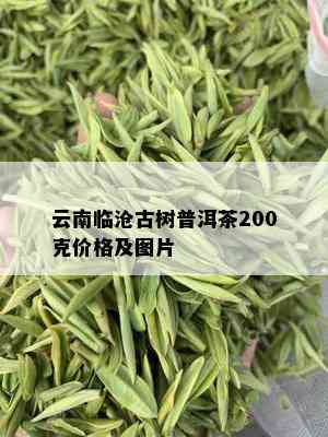 云南临沧古树普洱茶200克价格及图片