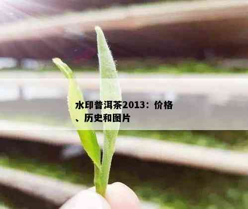 水印普洱茶2013：价格、历史和图片