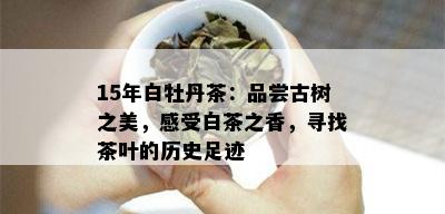 15年白牡丹茶：品尝古树之美，感受白茶之香，寻找茶叶的历史足迹