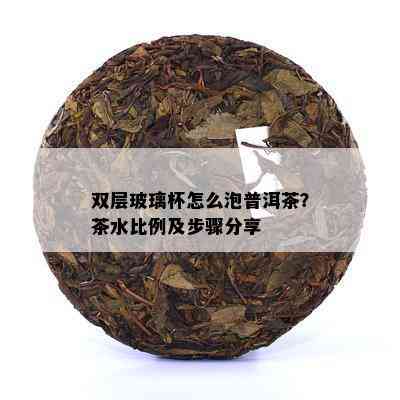 双层玻璃杯怎么泡普洱茶？茶水比例及步骤分享