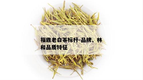 福鼎老白茶标杆-品牌、林和品质特征