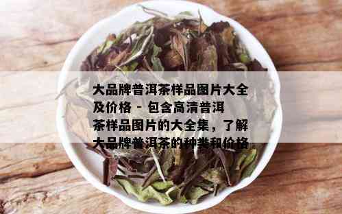 大品牌普洱茶样品图片大全及价格 - 包含高清普洱茶样品图片的大全集，了解大品牌普洱茶的种类和价格