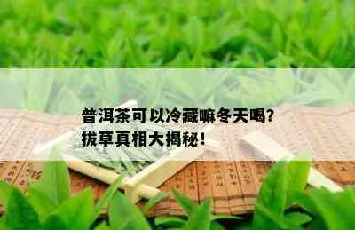 普洱茶可以冷藏嘛冬天喝？拔草真相大揭秘！