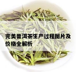 完美普洱茶生产过程图片及价格全解析