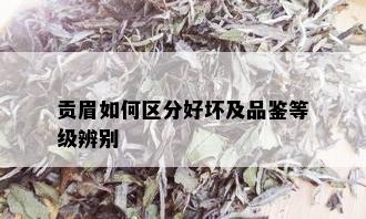 贡眉如何区分好坏及品鉴等级辨别