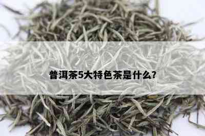 普洱茶5大特色茶是什么？