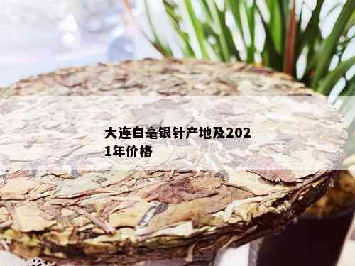 大连白毫银针产地及2021年价格