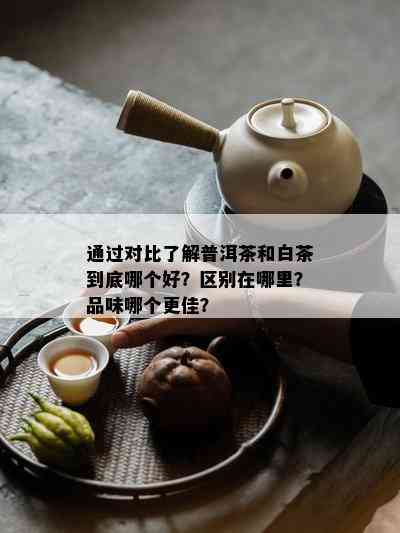 通过对比了解普洱茶和白茶到底哪个好？区别在哪里？品味哪个更佳？