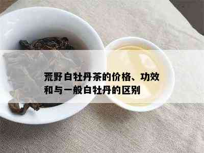 荒野白牡丹茶的价格、功效和与一般白牡丹的区别