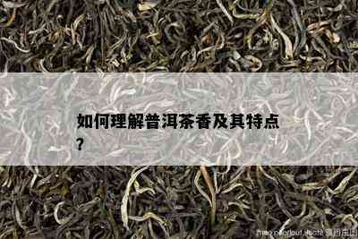 如何理解普洱茶香及其特点？