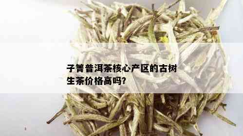 子箐普洱茶核心产区的古树生茶价格高吗？