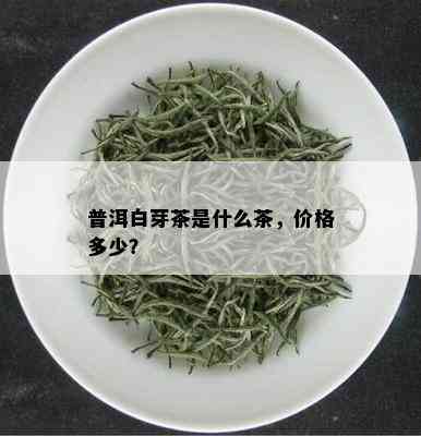 普洱白芽茶是什么茶，价格多少？