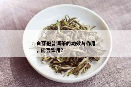 白芽孢普洱茶的功效与作用，能否饮用？