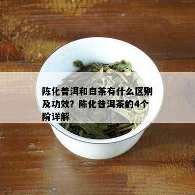 陈化普洱和白茶有什么区别及功效？陈化普洱茶的4个阶详解