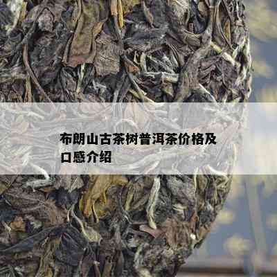 布朗山古茶树普洱茶价格及口感介绍