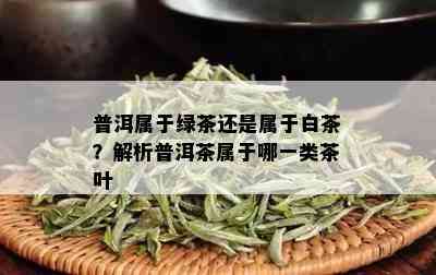 普洱属于绿茶还是属于白茶？解析普洱茶属于哪一类茶叶