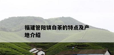 福建管阳镇白茶的特点及产地介绍