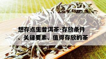 想存点生普洱茶-存放条件、关键要素、值得存放的茶