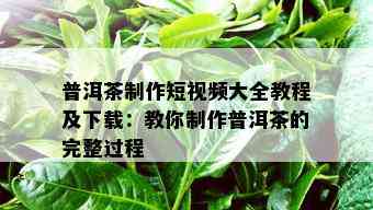 普洱茶制作短视频大全教程及下载：教你制作普洱茶的完整过程