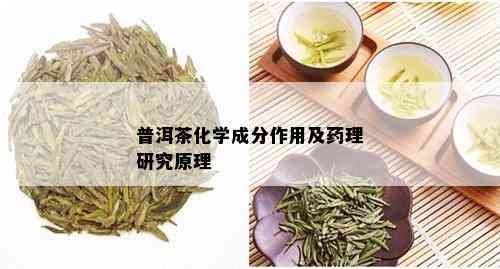 普洱茶化学成分作用及理研究原理