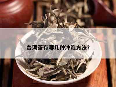 普洱茶有哪几种冲泡方法？